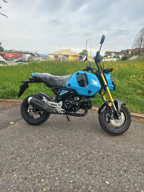 HONDA MSX 125 Grom Naked Moto neuve