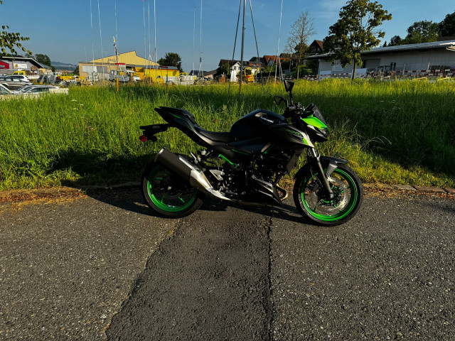 KAWASAKI Z 500 SE Naked Neufahrzeug