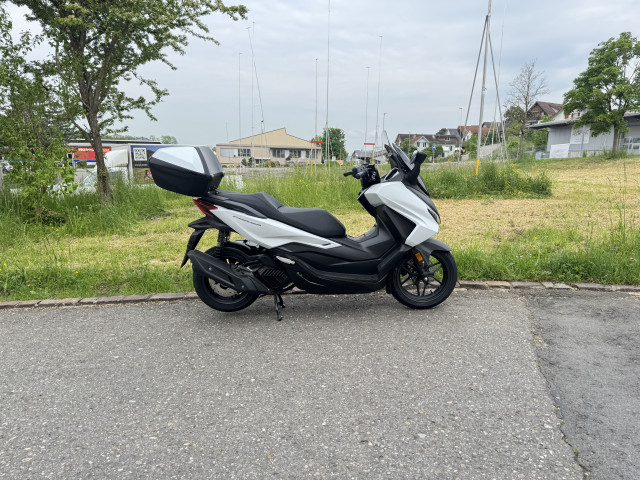 HONDA NSS 125 Forza Smart Top Box Roller Neufahrzeug