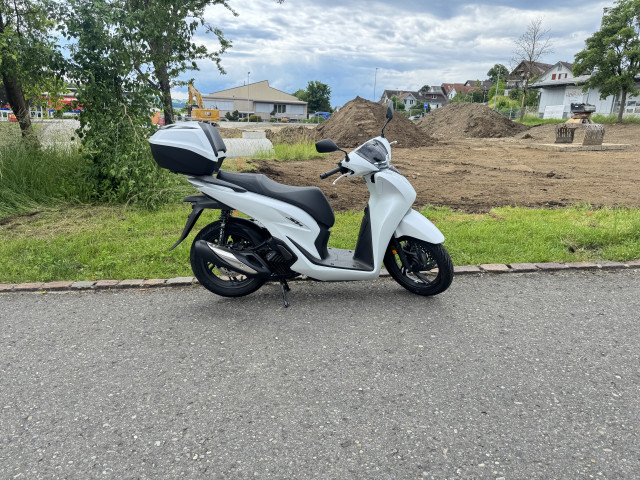 HONDA SH 125 Sporty Roller Neufahrzeug