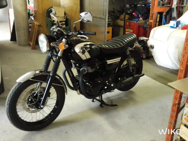 KAWASAKI W 800 Special Edition Retro Usato