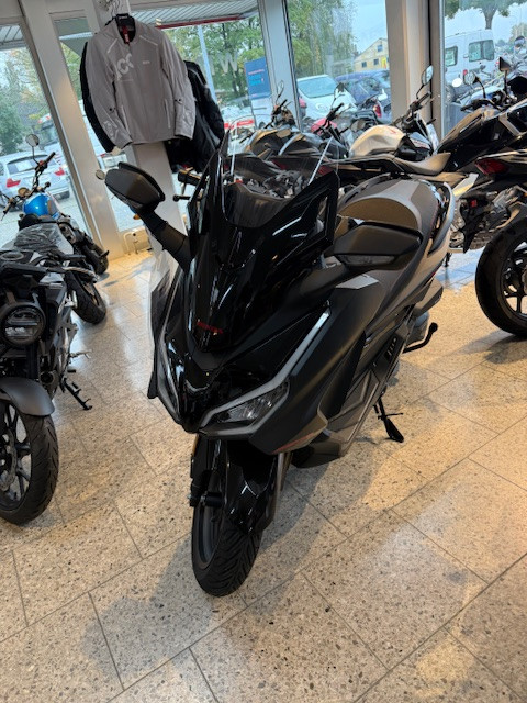 HONDA NSS 350 Forza Special Edition Roller Vorführfahrzeug