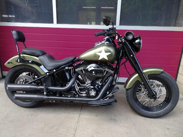 Softail slim s best sale custom