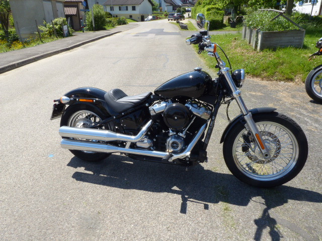 HARLEY-DAVIDSON FXST 1745 Softail Standard 107 Custom Occasion
