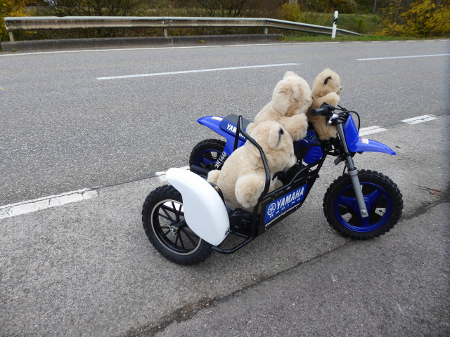 YAMAHA PW50 Side-car Gespann Tageseinlösung