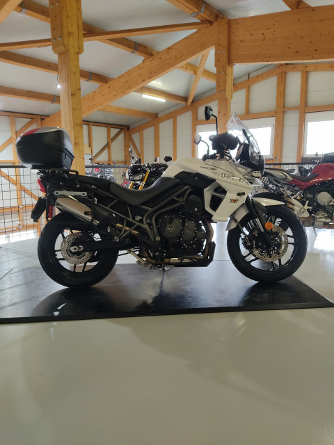 TRIUMPH Tiger 800 XRX Low Enduro Occasion TRIUMPH Tiger 800 XRX Low Enduro Occasion