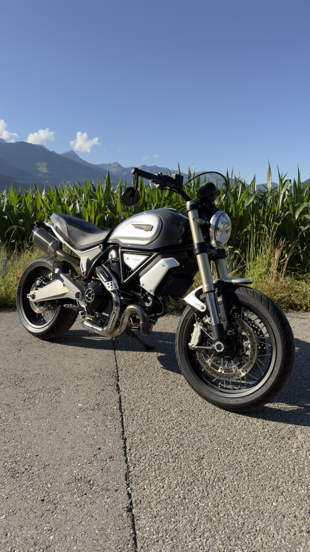DUCATI Scrambler 1100 Retro Occasion DUCATI Scrambler 1100 Retro Occasion