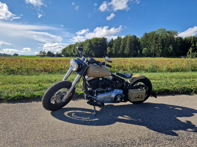 HARLEY-DAVIDSON FLS 1690 Softail Slim Custom Occasion