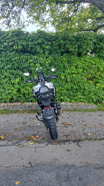 VOGE DS 800 X Rally Enduro Occasion