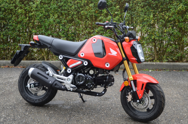 HONDA MSX 125 Grom Naked Occasion