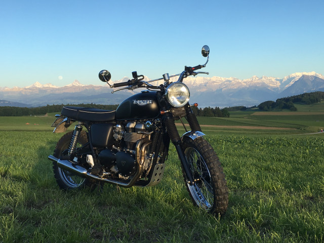 TRIUMPH Scrambler 900 Retro Occasion