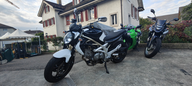 SUZUKI SFV 650 Gladius Naked Occasion