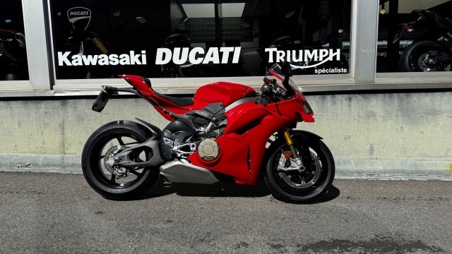 DUCATI Panigale 1103 V4 S Sport Neufahrzeug DUCATI Panigale 1103 V4 S Sport Neufahrzeug