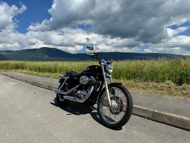 HARLEY-DAVIDSON XL 1200 C Sportster Custom Custom Occasion