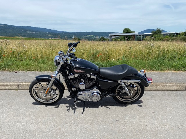 HARLEY-DAVIDSON XL 1200 T Sportster Super Low Custom Occasion