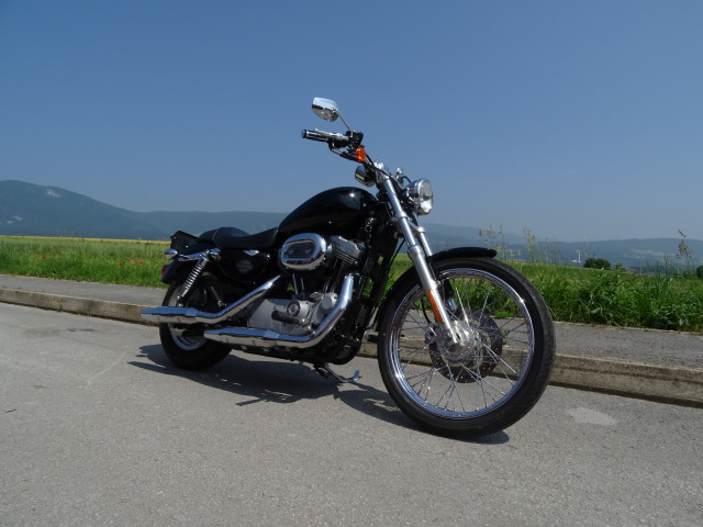 HARLEY-DAVIDSON XLH 883 53C Sportster Custom Occasion