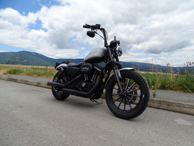 HARLEY-DAVIDSON XL 883 N Sportster Iron Custom Occasion