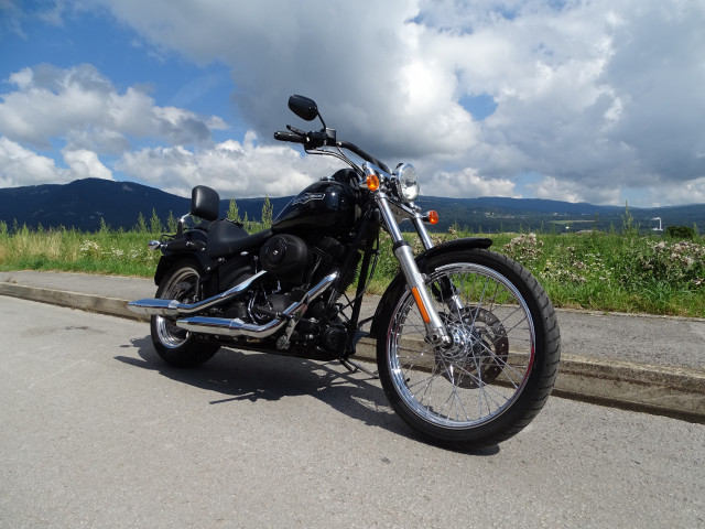 HARLEY-DAVIDSON FXSTB 1584 Softail Night Train Custom Occasion