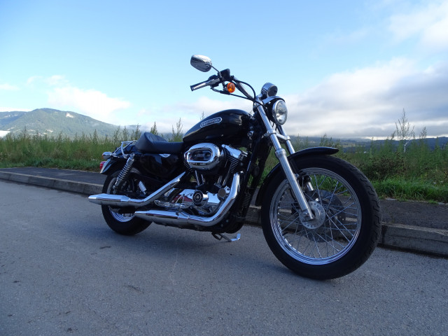 HARLEY-DAVIDSON XL 1200 L Sportster Low Custom Occasion