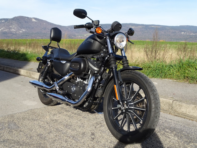 HARLEY-DAVIDSON XL 883 N Sportster Iron Custom Occasion