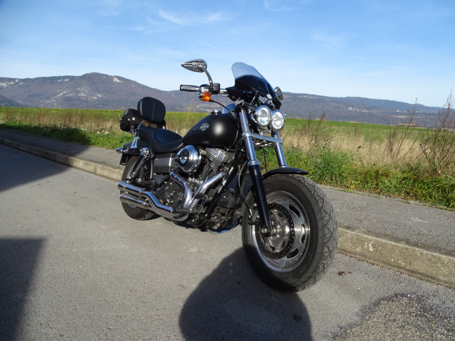 HARLEY-DAVIDSON FXDF 1584 Dyna Fat Bob Custom Occasion