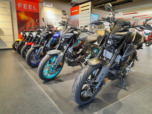 YAMAHA MT-125 Naked Occasion