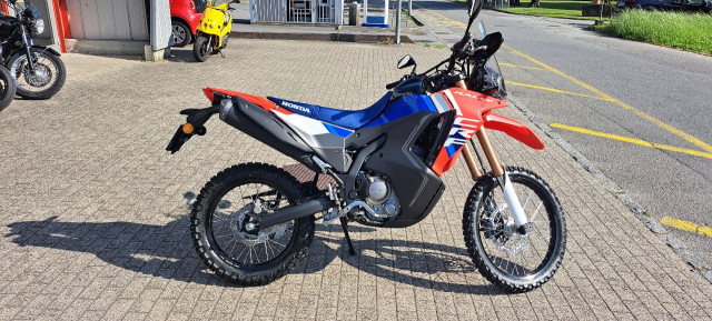 HONDA CRF 300 Rally Enduro Registrazione di un giorno