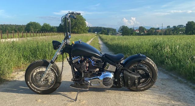 HARLEY-DAVIDSON Custom Custom Occasion