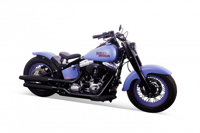 HARLEY-DAVIDSON FLS 1690 Softail Slim Custom Occasion