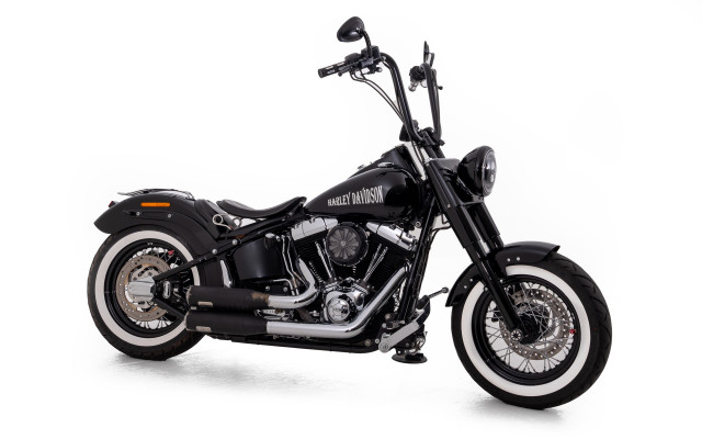 HARLEY-DAVIDSON FLS 1690 Softail Slim Custom Occasion