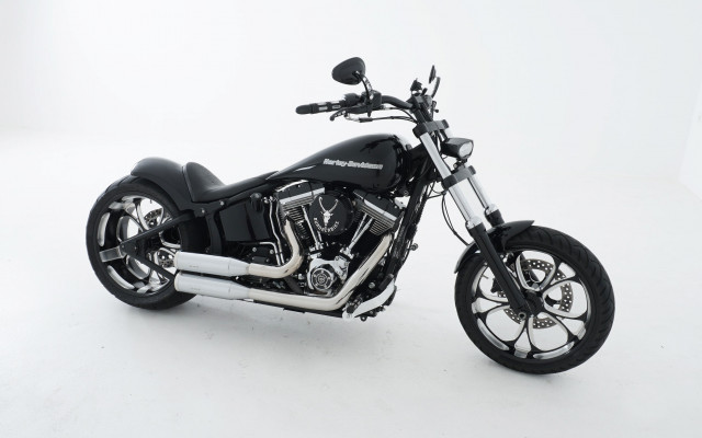 HARLEY-DAVIDSON FXS 1690 Softail Blackline Custom Usato