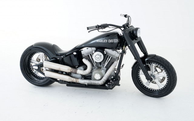 HARLEY-DAVIDSON FXST 1450 Softail Standard Custom Usato