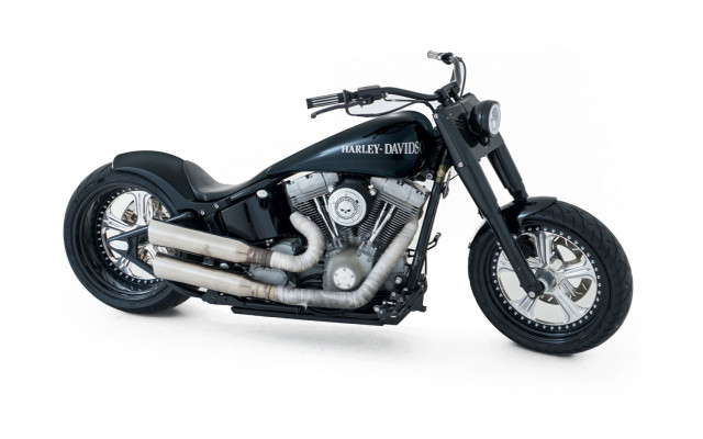 HARLEY-DAVIDSON FXST 1450 Softail Standard Custom Occasion