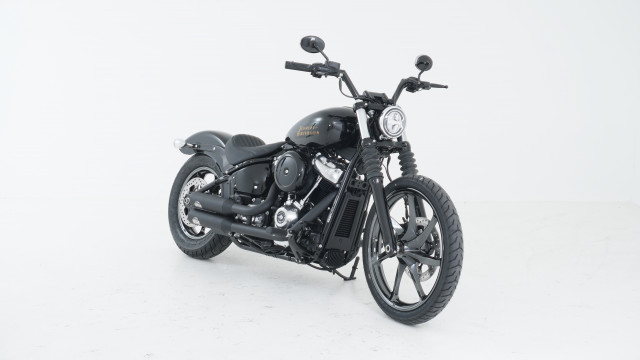 HARLEY-DAVIDSON FXST 1745 Softail Standard 107 Custom Occasion