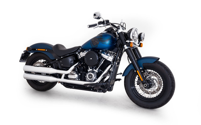 HARLEY-DAVIDSON FLSL 1745 Softail Slim 107 Custom Usato