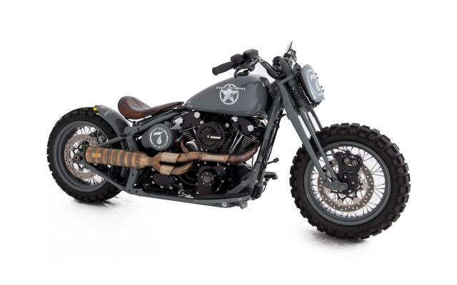 HARLEY-DAVIDSON FLSS 1801 Softail Slim S 110 Custom Occasion