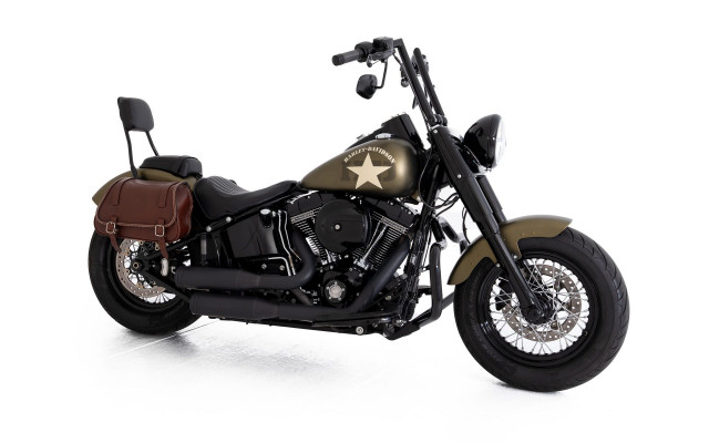 HARLEY-DAVIDSON FLSS 1801 Softail Slim S 110 Custom Occasion