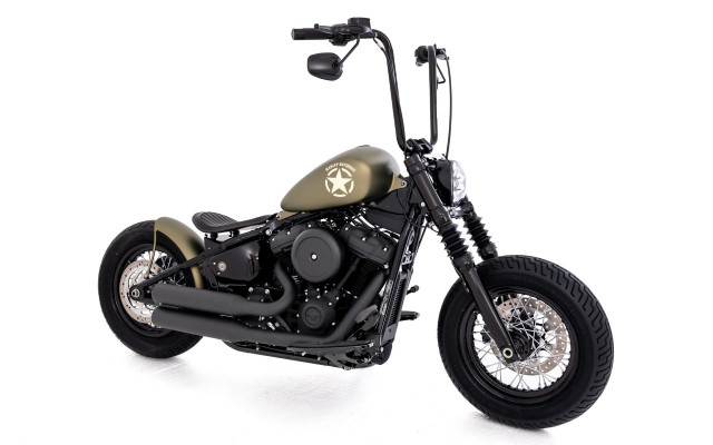 HARLEY-DAVIDSON FXST 1745 Softail Standard 107 Custom Occasion