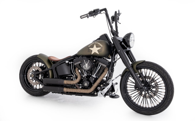 HARLEY-DAVIDSON FLSS 1801 Softail Slim S 110 Custom Occasion