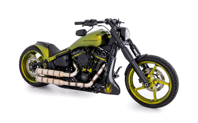 HARLEY-DAVIDSON FXBR 1923 Breakout 117 Custom Occasion