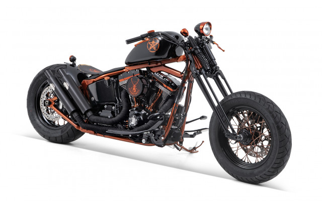 HARLEY-DAVIDSON FLSS 1801 Softail Slim S 110 Custom Occasion HARLEY-DAVIDSON FLSS 1801 Softail Slim S 110 Custom Occasion