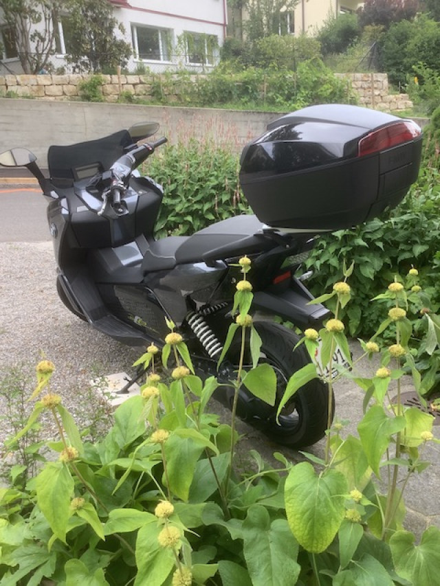 BMW C Evolution Roller Occasion