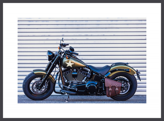 HARLEY-DAVIDSON FLSS 1801 Softail Slim S 110 Custom Usato