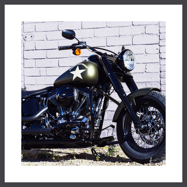 HARLEY-DAVIDSON FLSS 1801 Softail Slim S 110 Custom Usato