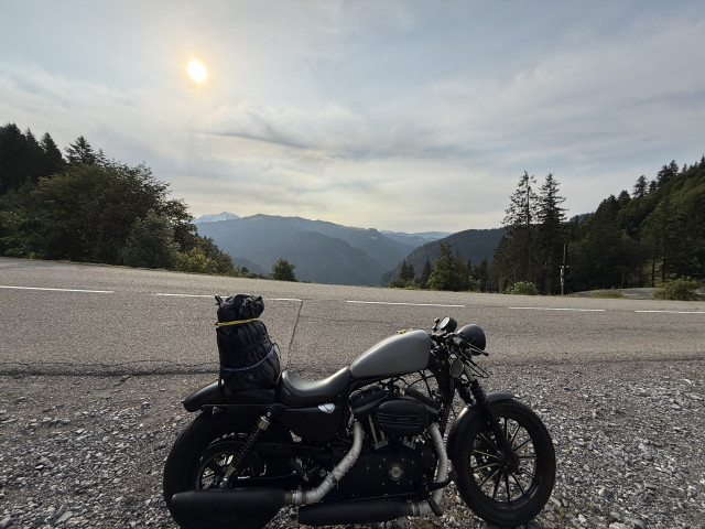 HARLEY-DAVIDSON XL 883 N Sportster Iron Custom Occasion