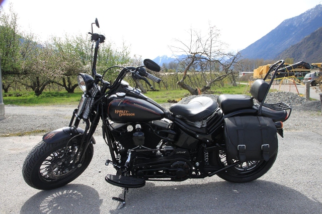 HARLEY-DAVIDSON FLSTSB 1584 Softail X-Bones Custom Occasion