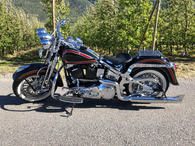 HARLEY-DAVIDSON FLSTS 1340 Softail Heritage Springer Custom Occasion