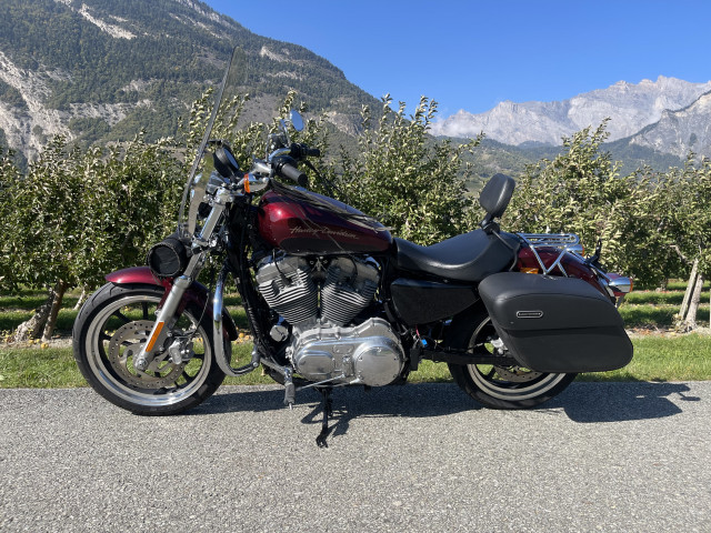 HARLEY-DAVIDSON XL 883 L Sportster Super Low Custom Occasion