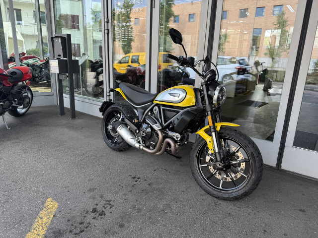 DUCATI Scrambler 803 Icon Retro Occasion