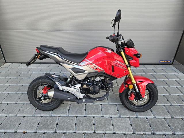 HONDA MSX 125 Naked Usato